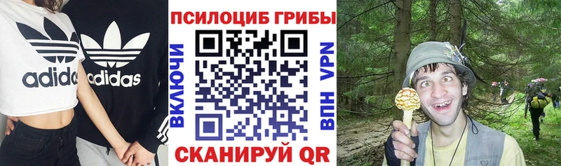 Купить где  Ленинск  Псилоцибиновые грибы Psilocybine cubensis 